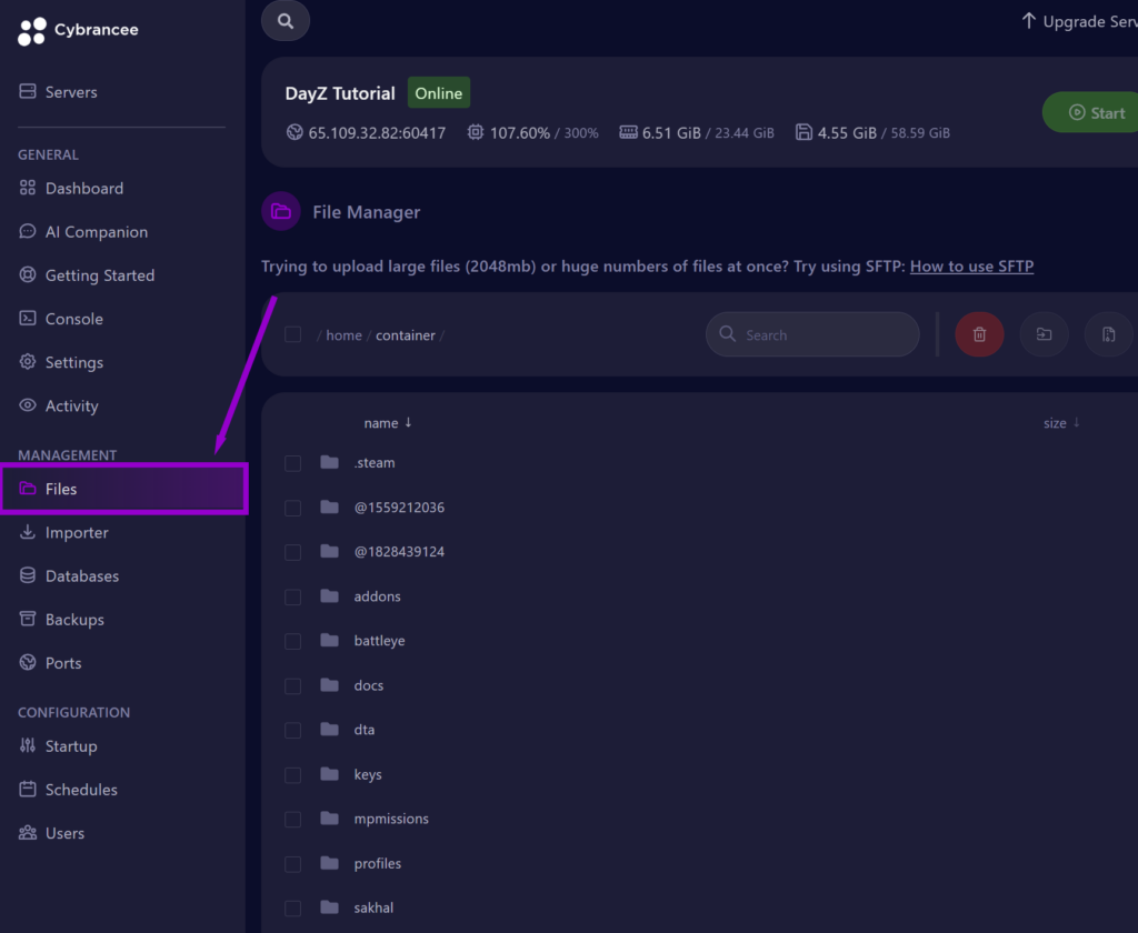 cybrancee panel dayz files page outlined