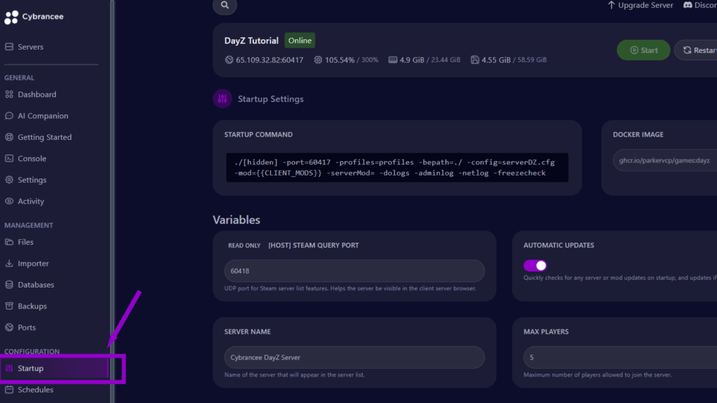 cybrancee panel dayz startup tab outlined