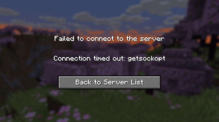Minecraft 'getscokopt' error