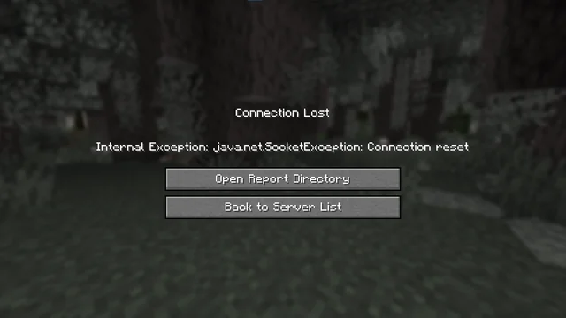 Minecraft 'Java.netSocketException' error