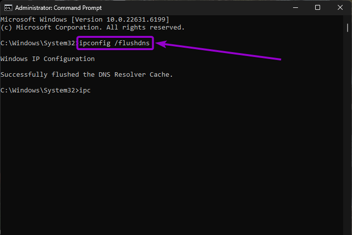 'ipconfig flushdns' command in the command prompt