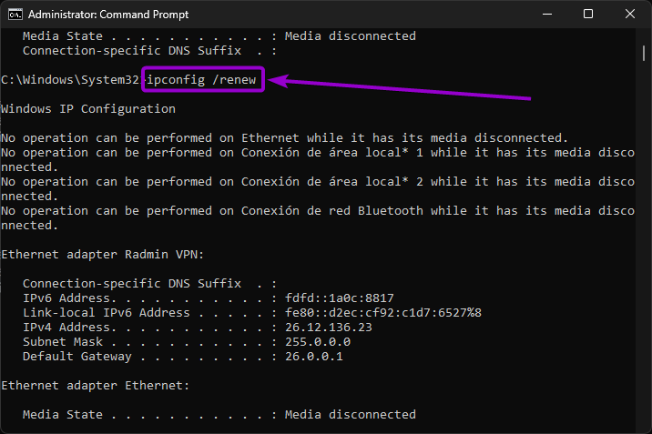 'ipconfig renew' command in the command prompt
