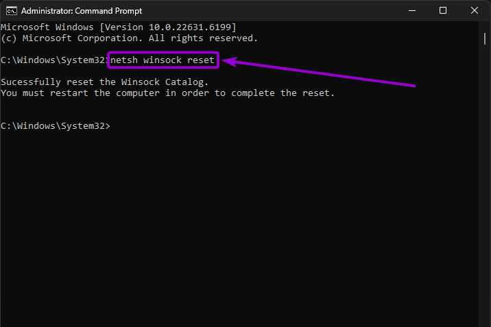 'netsh winsock reset' command in the command prompt V2
