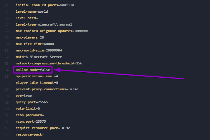 'Online-mode' option set to false