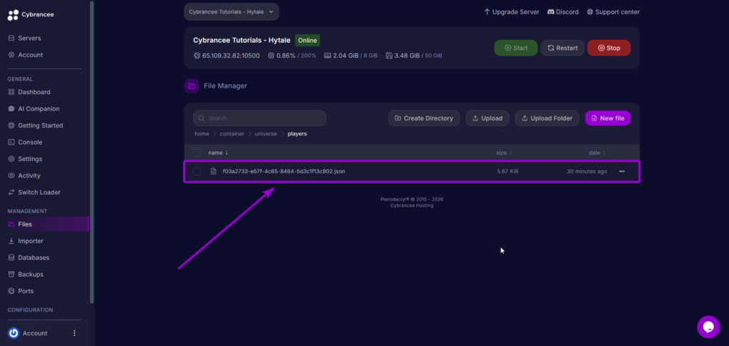 All Players List - hytale