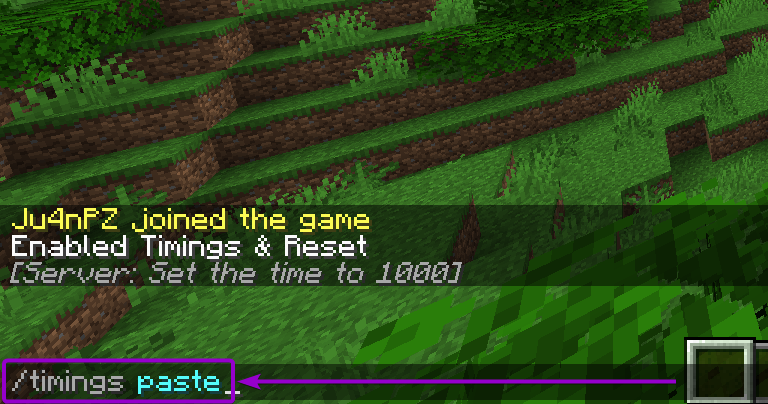 Command to end the timing report