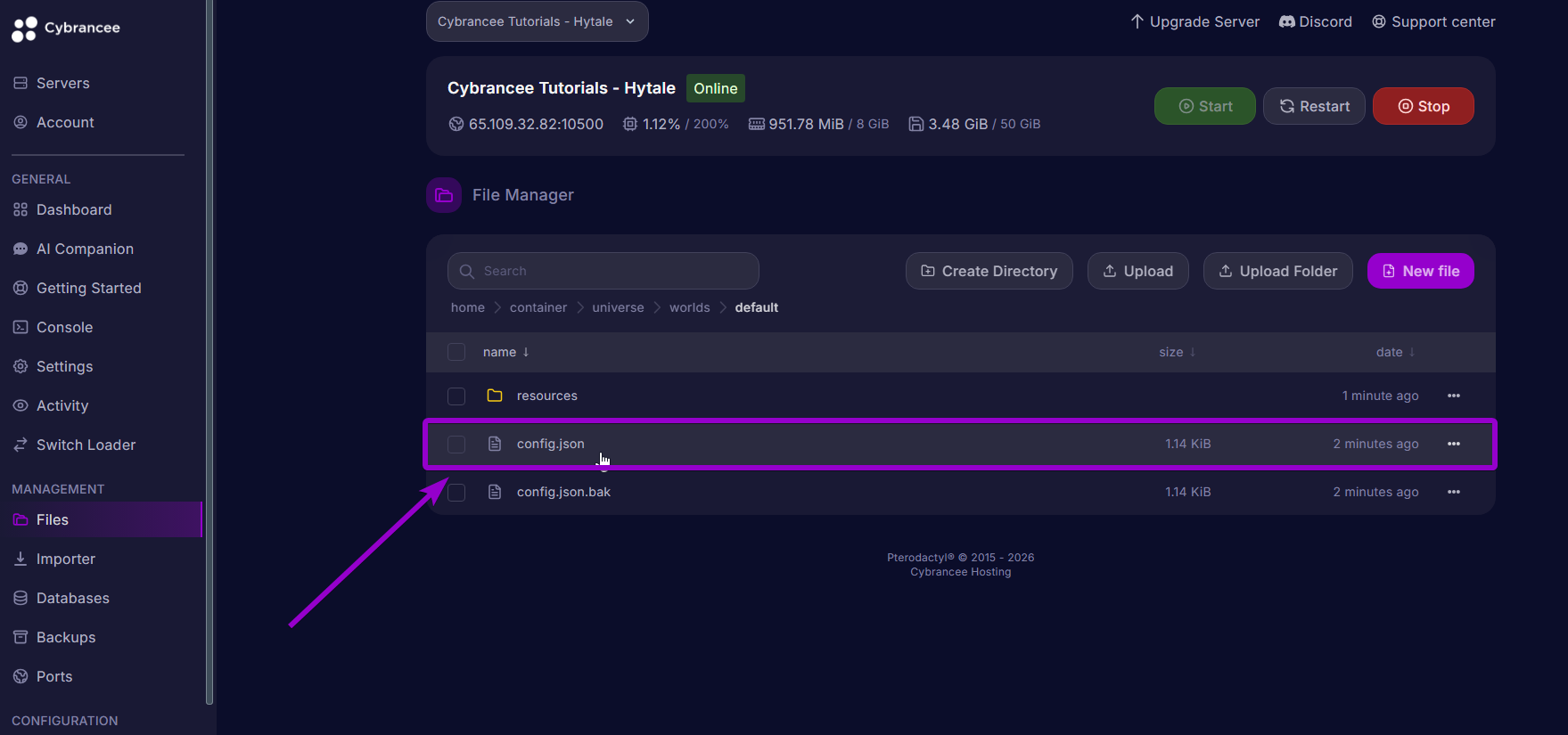 Config.json - Hytale Panel