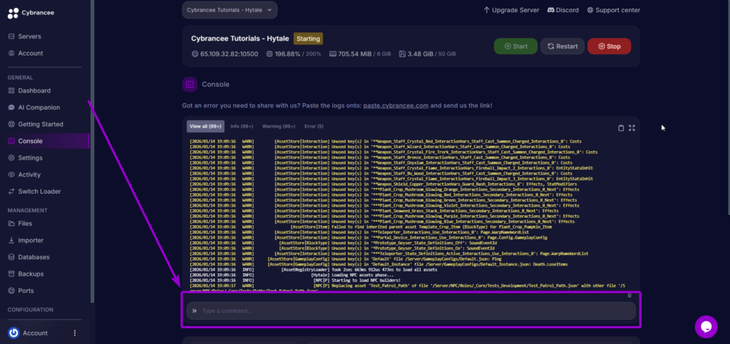 Console Input Area - Hytale