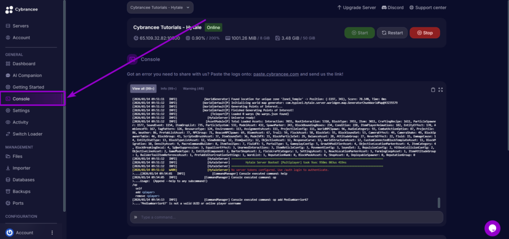 Console tab - Hytale Server