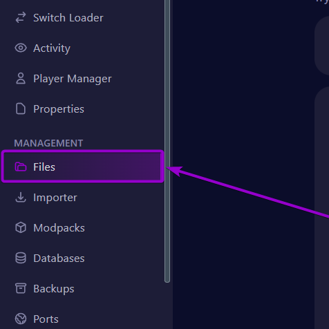 Cybrance panel 'Files' Tab outlined with arrow