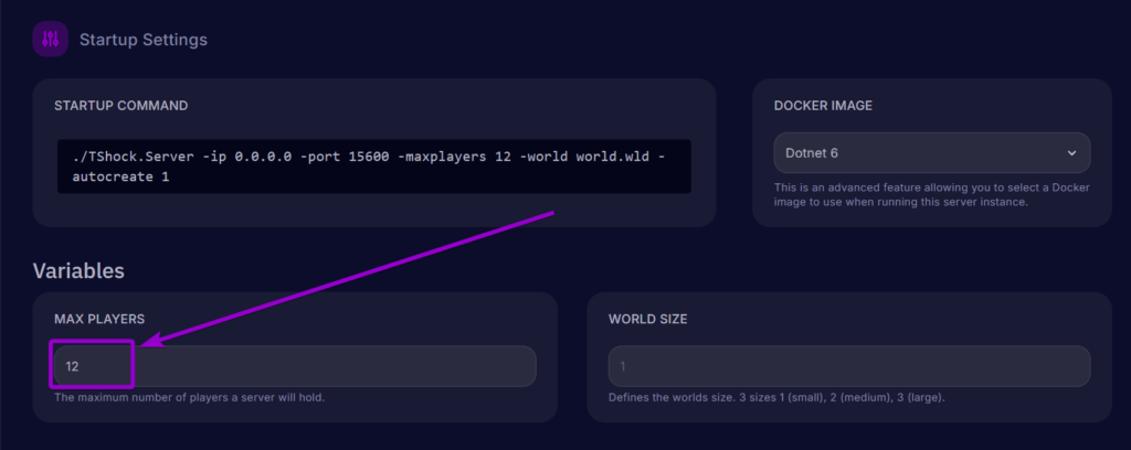 Cybrancee Terraria Panel Startup Tab Max Players Field Outlined