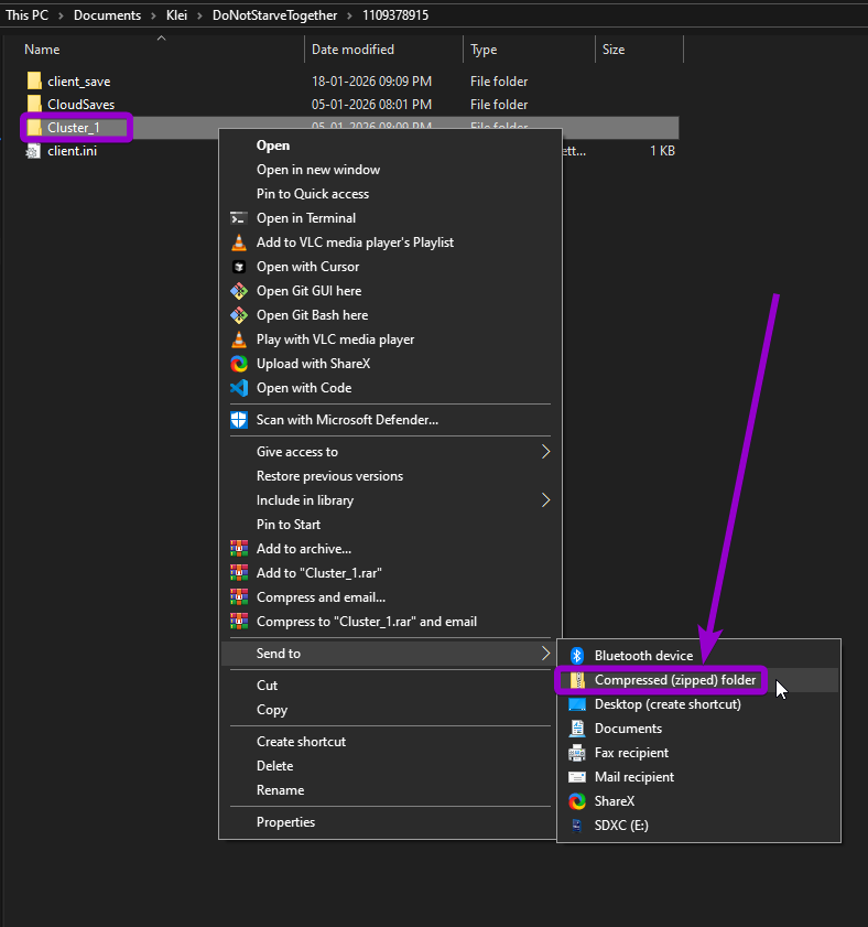 Dont Starve Together Game Files Cluster Compress Outlined