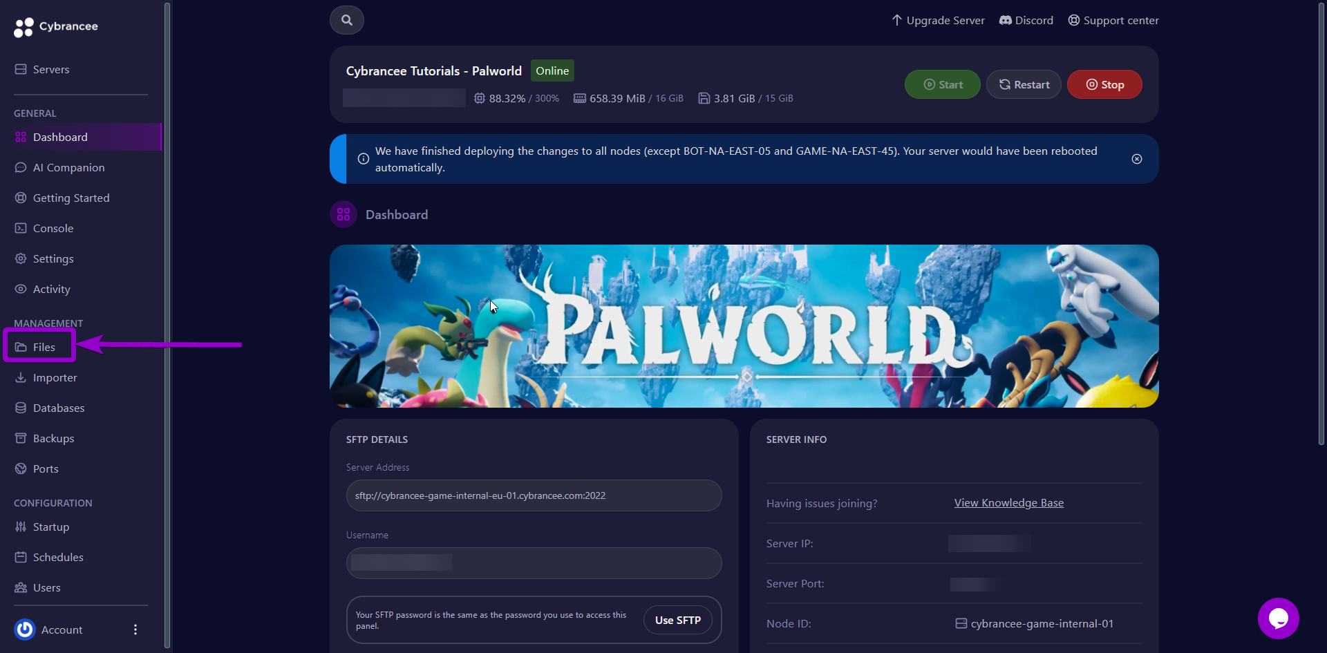 Cybrance panel 'Files' Tab outlined with arrow