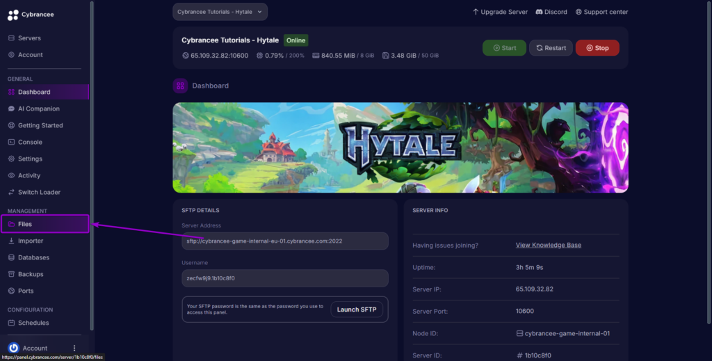 'Files' tab outlined with arrow - Hytale CB Panel