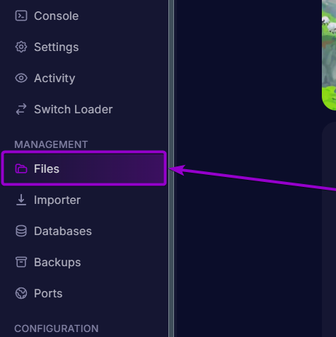 'Files' tab outlined with arrow - Hytale CB Panel 