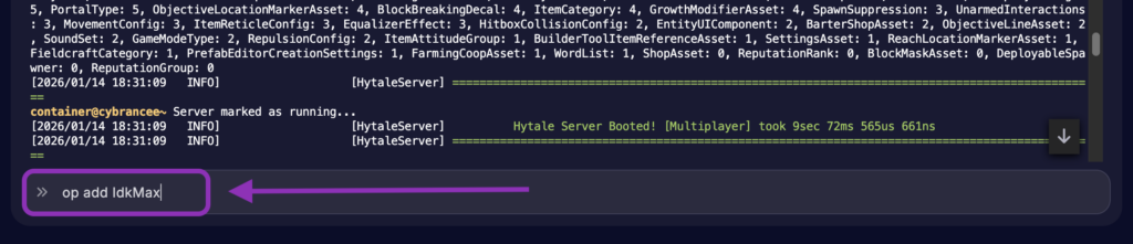 Cybrancee Panel Console with the command to add an administrator highlighted for a Hytale server.