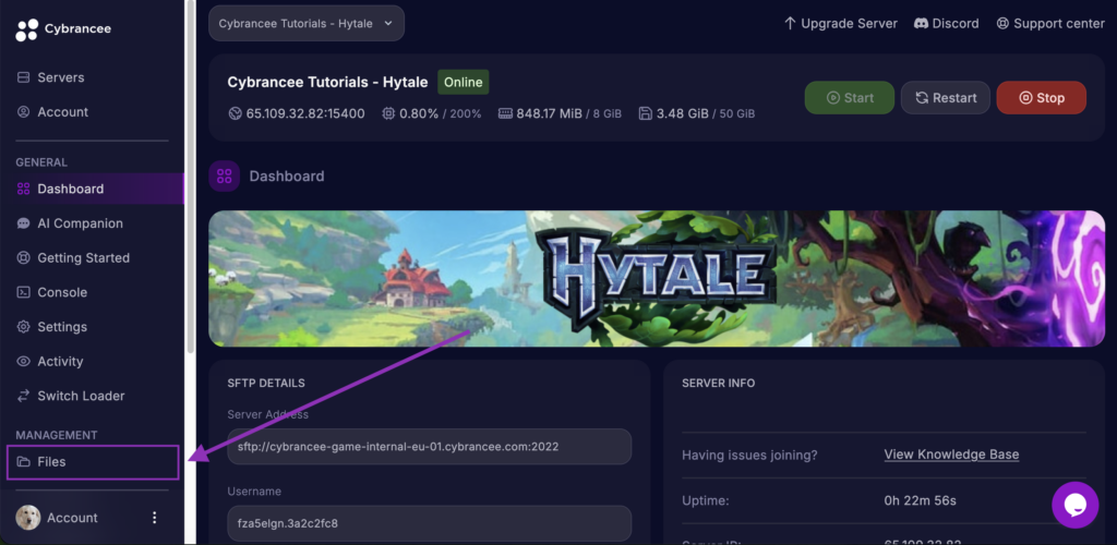 Cybrancee Panel Files tab highlighted for Hytale server.
