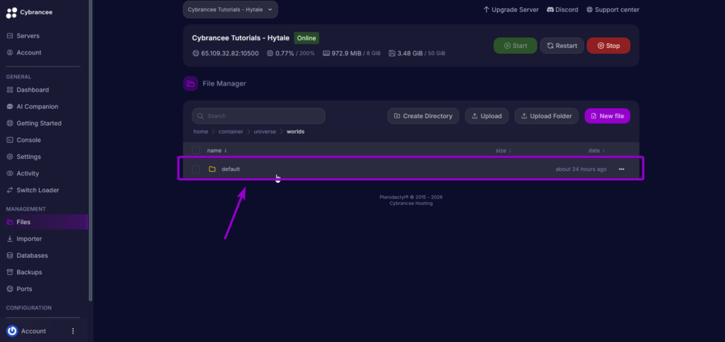 Hytale - defualt World Folder
