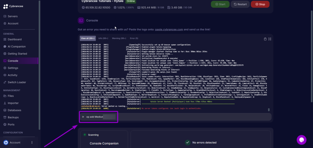 Inputted Username - Console - Hytale