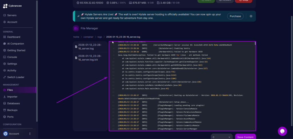 Open Log Cybrancee Hytale Server