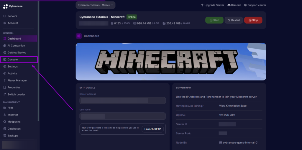 Cybrancee game panel dashboard showing the Console tab highlighted in the left sidebar menu