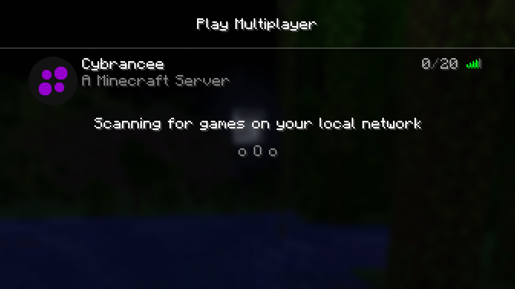 New icon changed on a Minecraft server