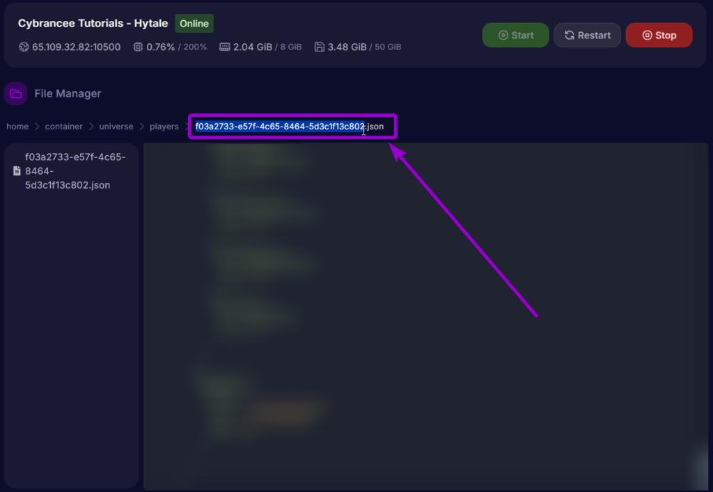 Player UUID Selection - Hytale