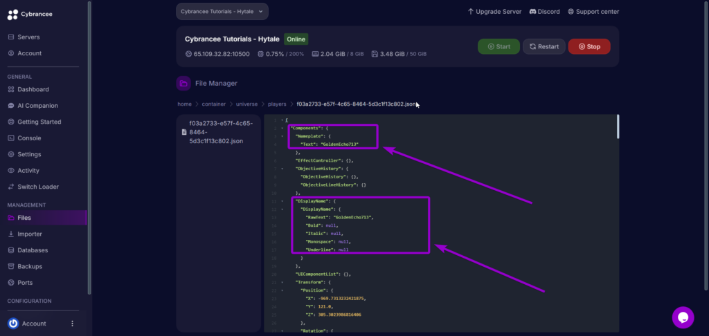 Player username Tab - Hytale