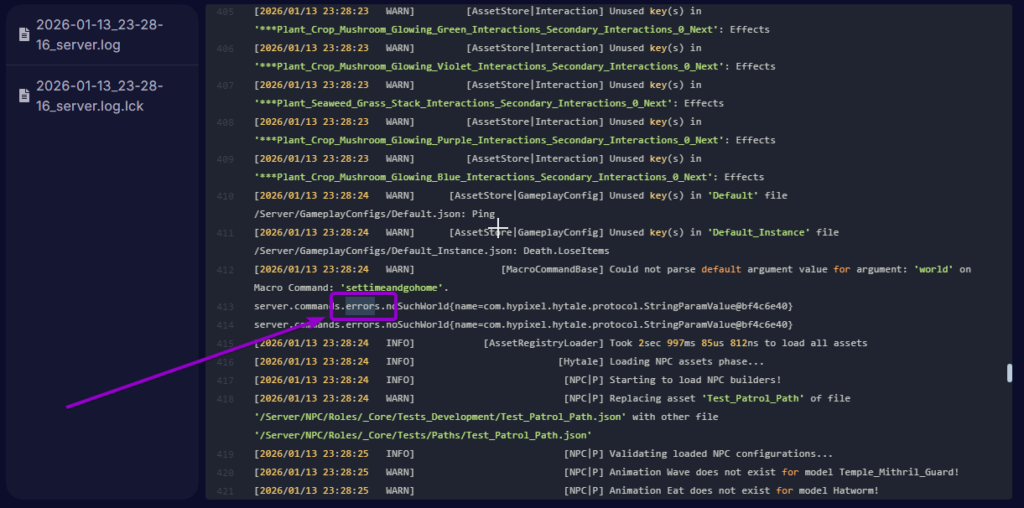 Server Error Located Hytale Server