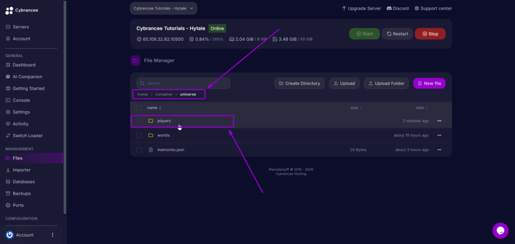 Your Players Folder - Hytale