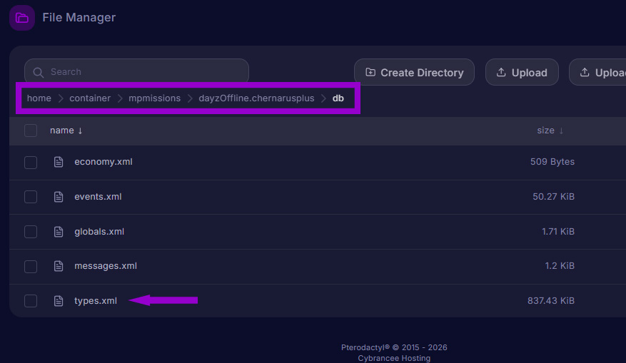 dayz files tab with types.xml file path and file outlined