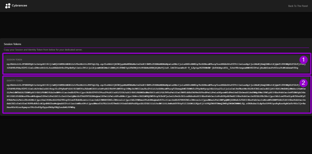 Cybrancee website Hytale session tokens