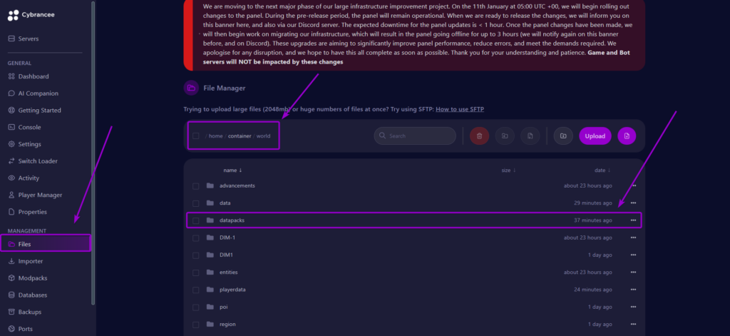 File manager path showing the location of the datapacks folder inside the world directory.