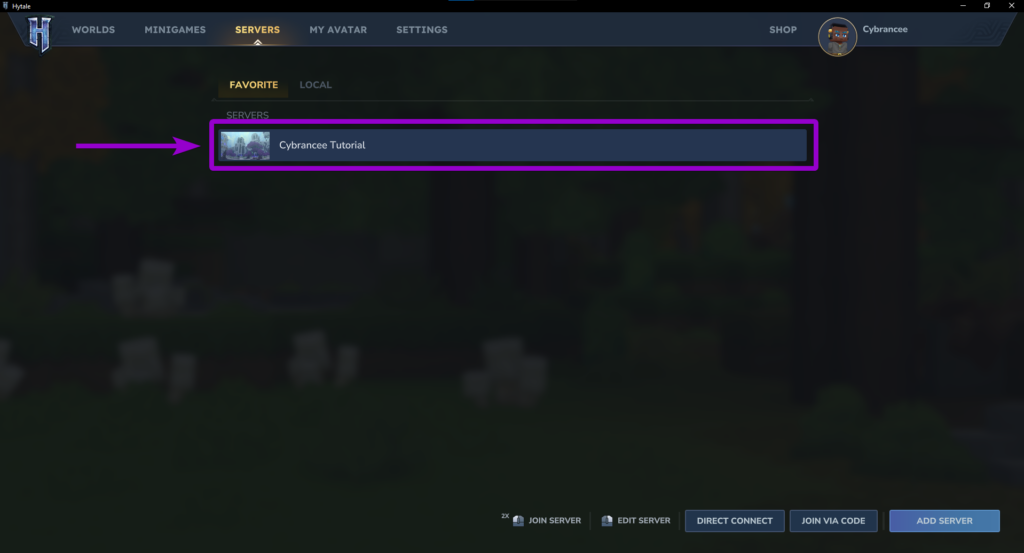 Hytale favorite server outlined