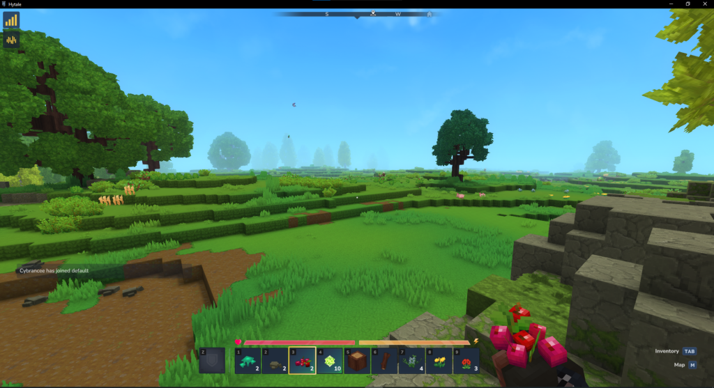 Hytale gameplay