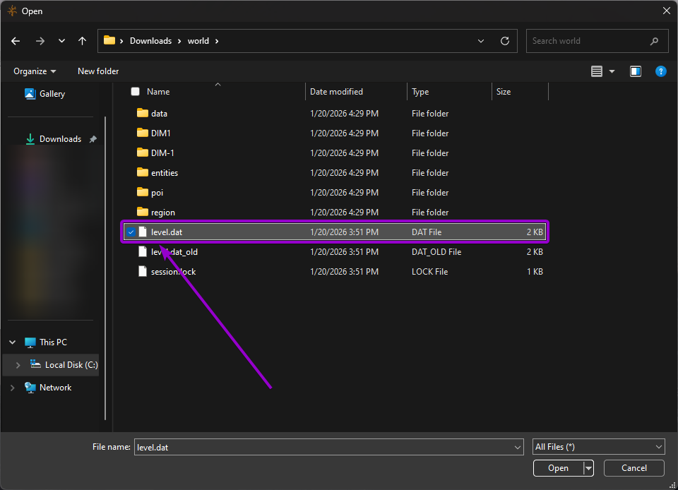 'level dat' file outlined with arrow from the file explorer