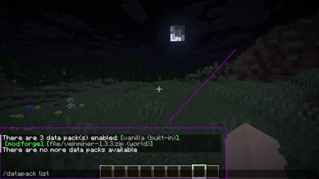 In-game screenshot showing the successful output of the /datapack list command
