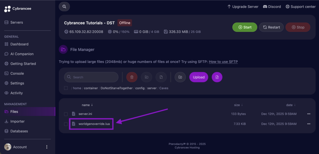Cybrancee File Manager displaying the World Config file highlighted for a Don't Starve Together server.