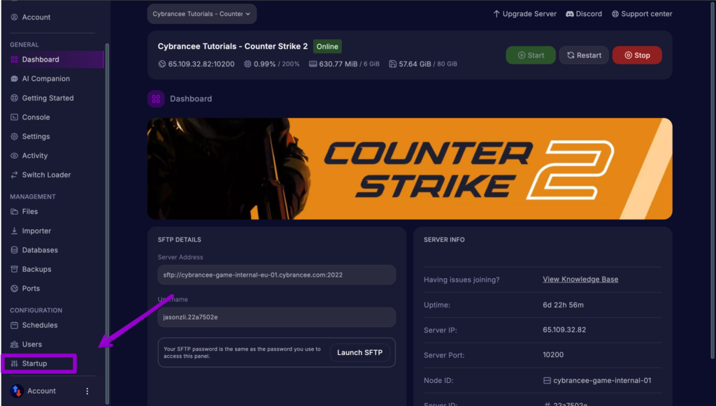 Cybrancee panel with the Startup tab outlined and arrow pointing.