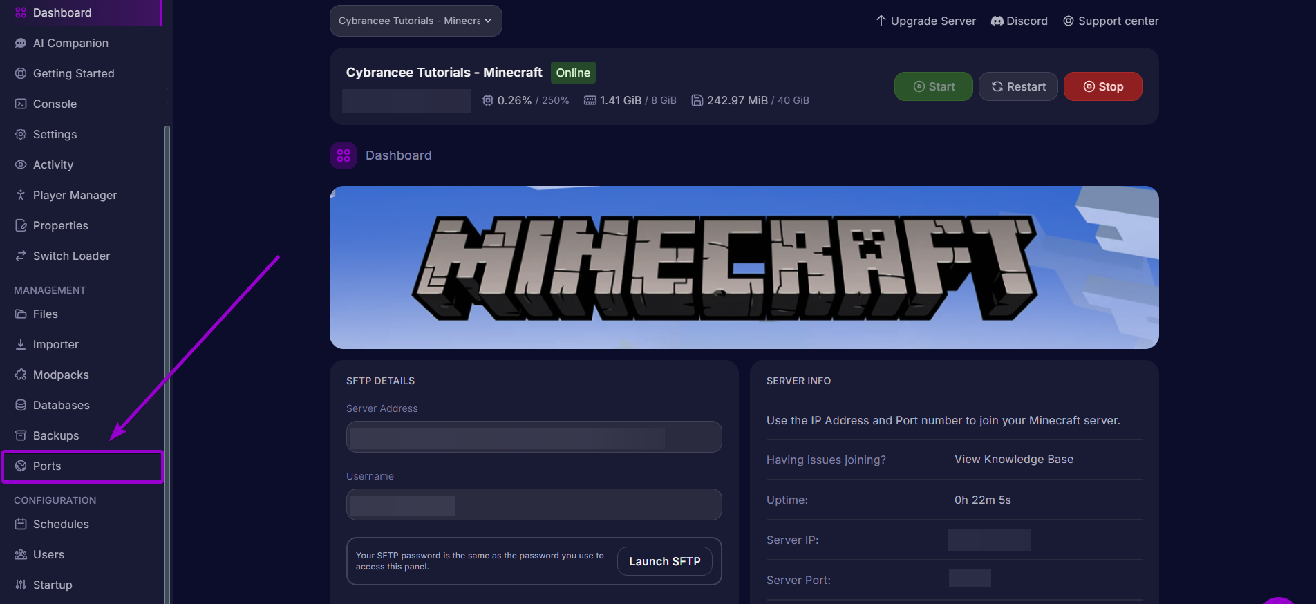 Selecting the Ports tab in the sidebar of the server dashboard