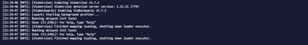 Server console output confirming that the ViaVersion and ViaBackwards plugins have been successfully enabled