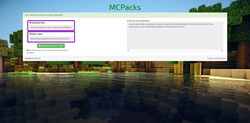 Viewing the generated download URL and SHA-1 hash on the MCPacks website after a successful upload.