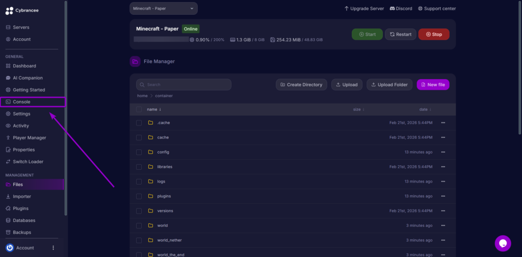 Clicking the Console tab on the left sidebar of the server control panel