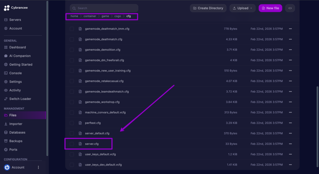 CS2 Server Config File with Box and Arrow.