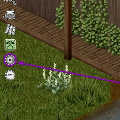 Project Zomboid Build 42 'Client' button outlined with arrow