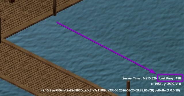 Project Zomboid Build 42 server ping location
