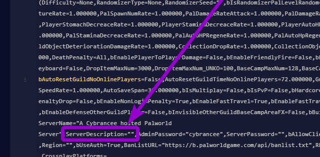 'ServerDescription' outlined with arrow