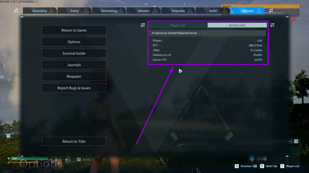 Palworld in-game Options menu showing the Server Info tab