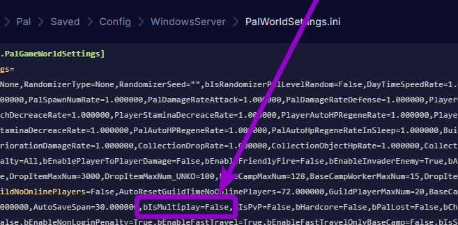 'bIsMultiplay' outlined with arrow
