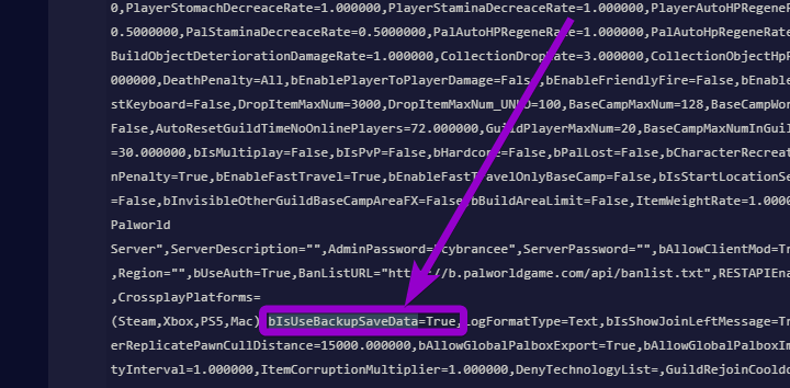 'bIsUseBackupSaveData' outlined with arrow